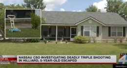 Girl, 5, escapes after man kills three women in home: Cops