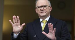 Government won't be 'intimidated' by social media giants after landmark under-16 ban