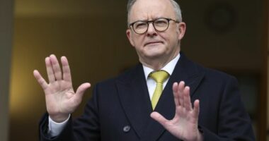 Government won't be 'intimidated' by social media giants after landmark under-16 ban