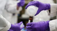 Gut microbes could offer protection from toxic 'forever chemicals': Study