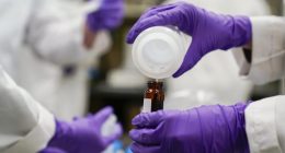 Gut microbes could offer protection from toxic 'forever chemicals': Study