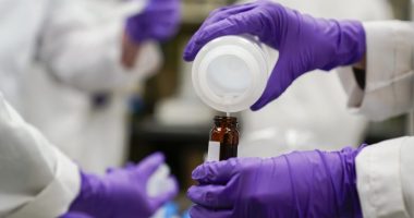Gut microbes could offer protection from toxic 'forever chemicals': Study