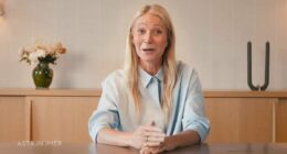 Gwyneth Paltrow makes appearance as Astronomer's 'spokesperson'