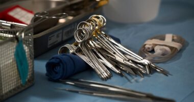 HHS to reform organ donation system after federal investigation