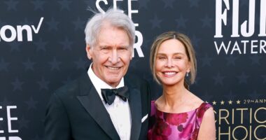 Harrison Ford and Calista Flockhart's Relationship Timeline