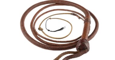 Harrison Ford's Indiana Jones whip sells for $525K at California auction