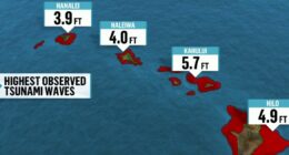 Hawaii under tsunami advisory after massive earthquake off Russia coast