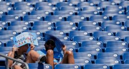 Heat advisories and warnings issued for Southeast and Midwest as temperatures and humidity soars