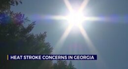 Heat stroke concerns grow as temperatures soar in Georgia