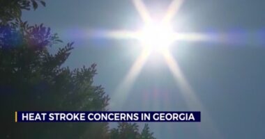 Heat stroke concerns grow as temperatures soar in Georgia
