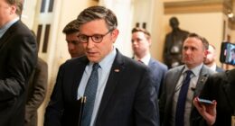 House shuts down early to block Epstein vote