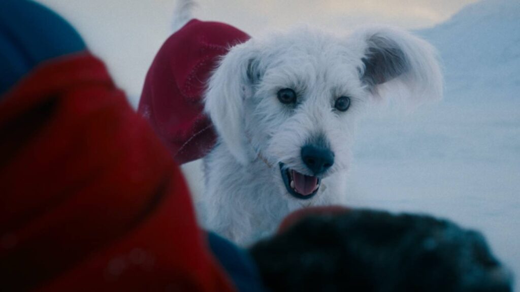 How James Gunn's Superman Sets Up The Supergirl Movie