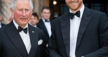 How Real Housewives of London Trailer Referenced Royal Family Drama