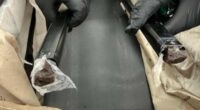 How fluid oozing from suitcase alerted police to hidden find