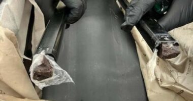 How fluid oozing from suitcase alerted police to hidden find