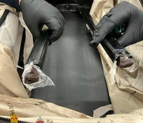 How fluid oozing from suitcase alerted police to hidden find