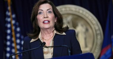 How redistricting could change the game for US House elections