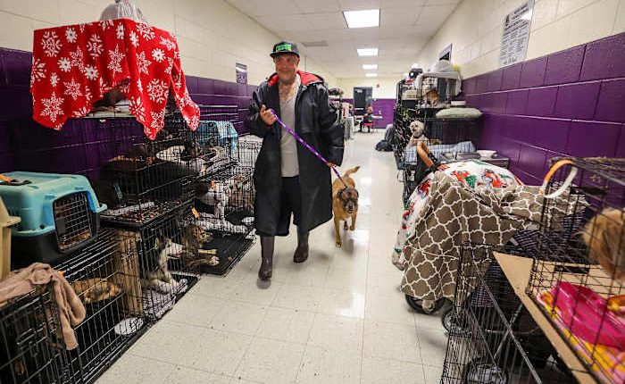 How to prepare your pets for when a hurricane makes it rain cats and dogs