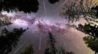 Stargazers have the chance to see a spectacular meteor show this week.﻿
