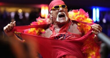 Hulk Hogan, icon in professional wrestling, dies at age 71