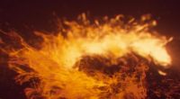 Human Remains Found After California Fireworks Warehouse Explosion