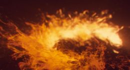 Human Remains Found After California Fireworks Warehouse Explosion