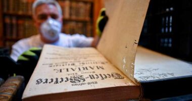 Hungary's oldest library is fighting to save 100,000 books from a beetle infestation