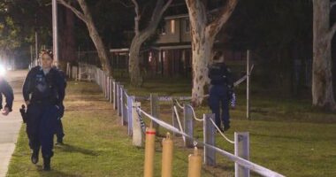 Police are appealing for witnesses to come forward after a girl was hit and ﻿run over by a dirt bike in Sydney's far south-west yesterday.