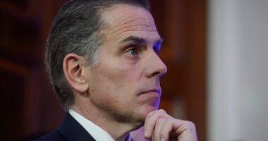 Hunter Biden blames father's debate performance on Ambien