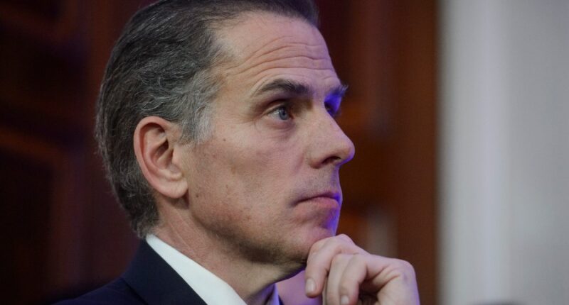Hunter Biden blames father's debate performance on Ambien