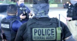 ICE ordered to release transgender asylum seeker by judge