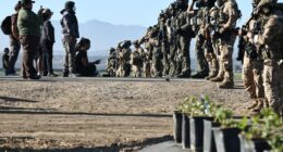 Immigration raid at California cannabis farm included violent felon