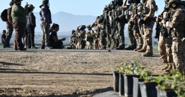 Immigration raid at California cannabis farm included violent felon