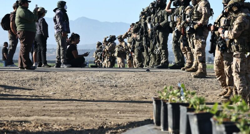 Immigration raid at California cannabis farm included violent felon