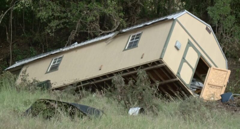 Ingram family dog makes her way back home days after floodwaters consumed house