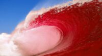Inside the Machine: Want a Red Wave in California? Start Facing the Brutal Math