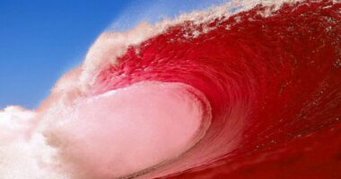 Inside the Machine: Want a Red Wave in California? Start Facing the Brutal Math