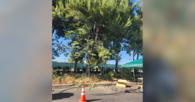 Internet outage was 'domestic terrorism,' Spectrum says