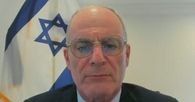 Israeli ambassador on starvation in Gaza: 'UN blocking aid'