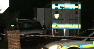JSO: Man shot, killed by officers after attacking pregnant woman