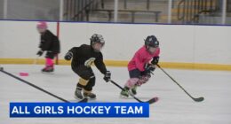 Jaguar Hockey Club bringing first all-girls ice hockey team to Joliet, Illinois