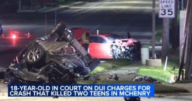 Jason Land, charged in McHenry crash that killed Perla Tejeda, 19, and teen boy at Richmond and McCullom Lake, ordered detained