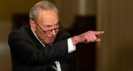 Jeffrey Epstein files: Democrats turn to obscure rule