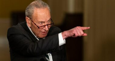 Jeffrey Epstein files: Democrats turn to obscure rule