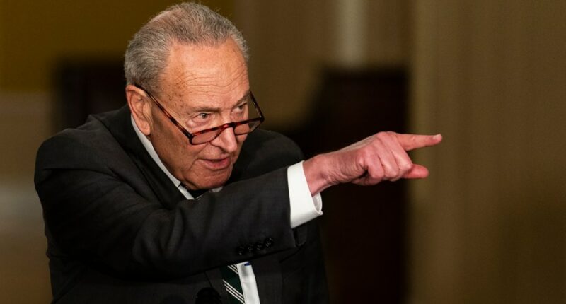 Jeffrey Epstein files: Democrats turn to obscure rule