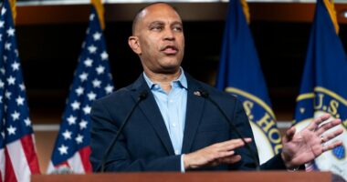 Jeffries urges release of all Jeffrey Epstein files