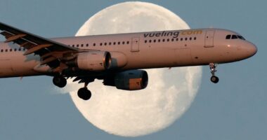 Jewish passengers' removal from flight investigated by French officials
