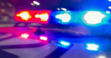 Jonesborough man arrested after allegedly evading authorities