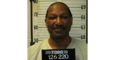 Judge orders Tennessee to turn off inmate's heart-regulating implanted device at execution