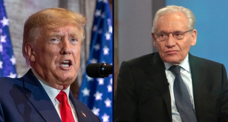 Judge rubbishes Trump's copyright claim against Bob Woodward